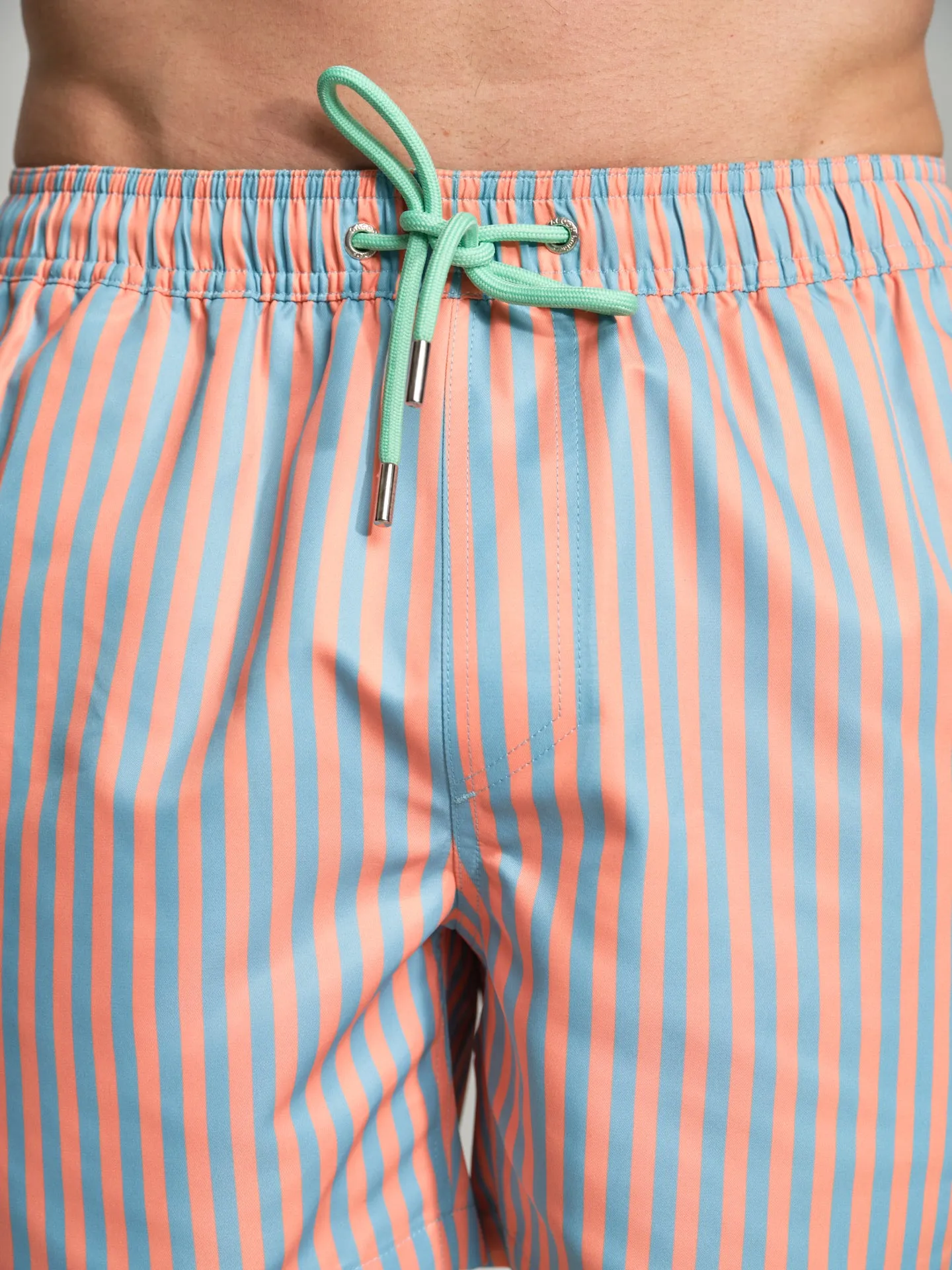Havana Collection striped swim shorts