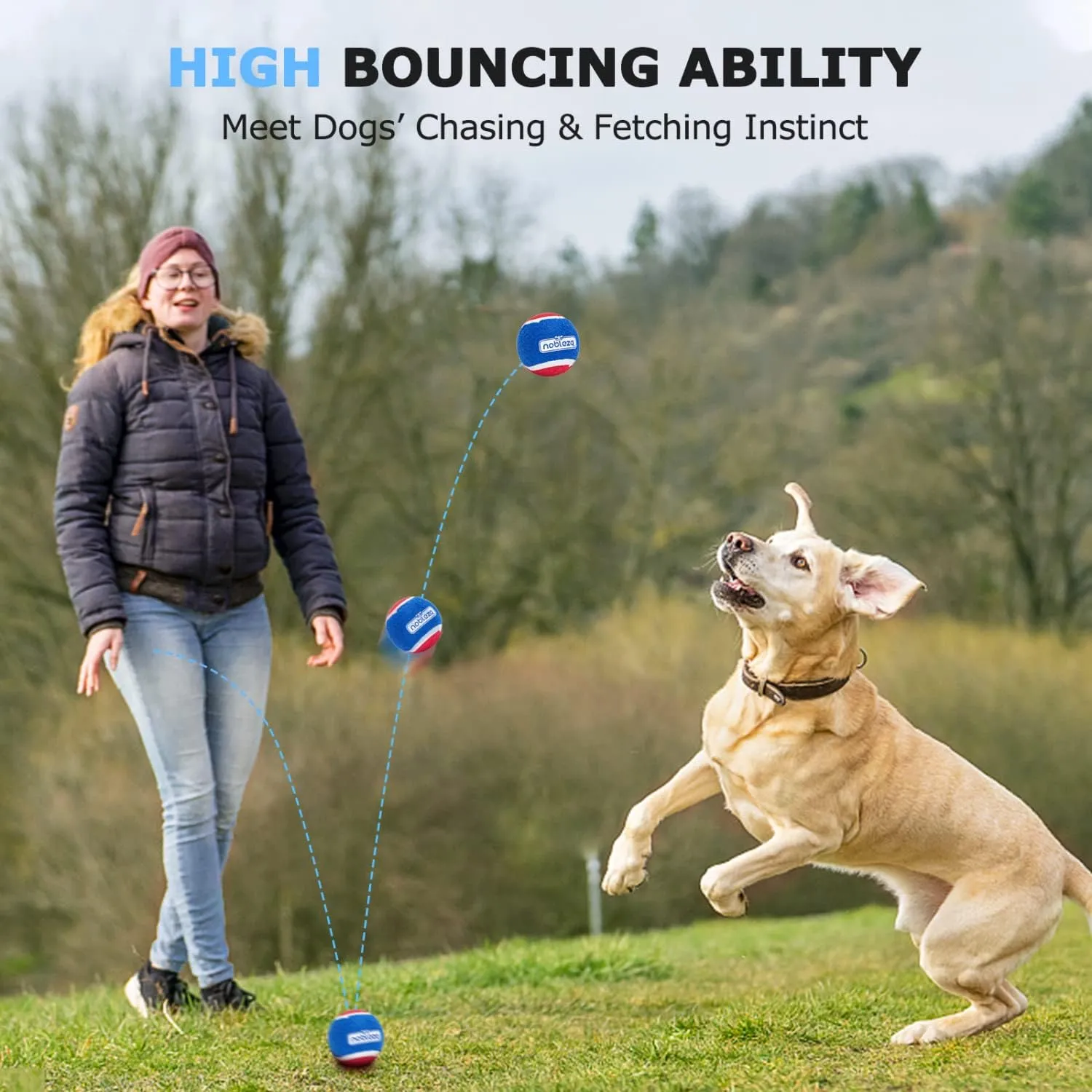 Nobleza Dog Tennis Balls 12 Pack, Durable Bouncy Floatable Squeaky Tennis Balls for Dogs for Fetch & Exercise, Training Interactive Natural Rubber Squeaky Dog Ball for Small Medium Dogs, 2.5in